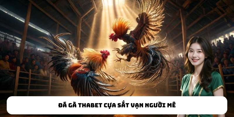 Yếu tố tạo nên sức hút của đá gà Thabet
