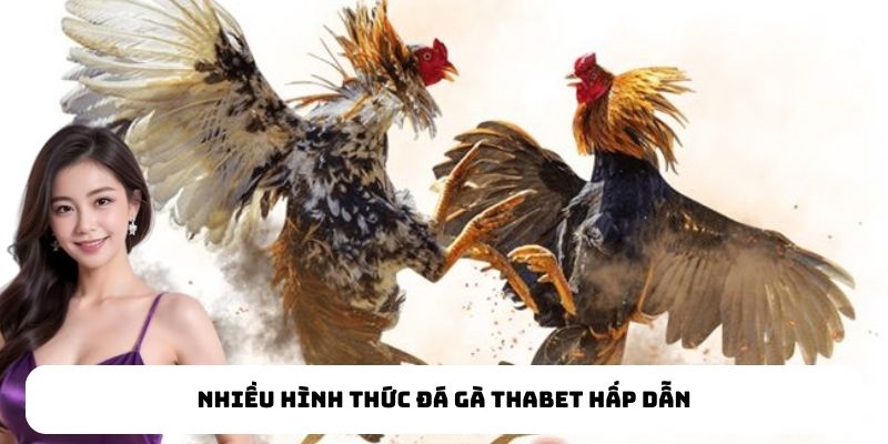 Kinh nghiệm được cao thủ Thabet chia sẻ nâng cao chiến thẳng
